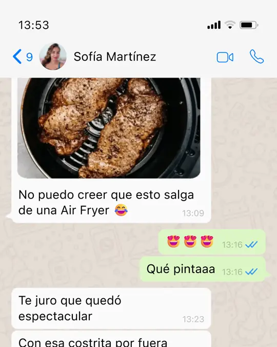 Conversación de WhatsApp con Sofía Martínez
